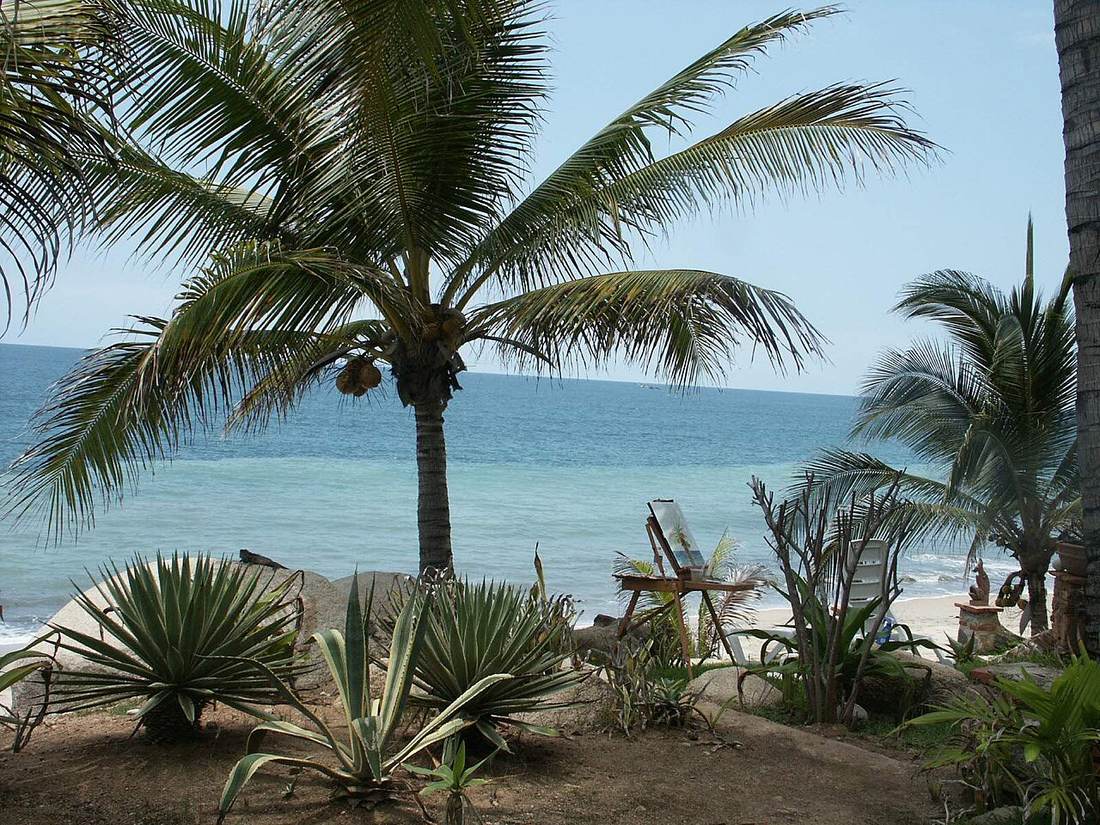 Palms over Sayulita beach